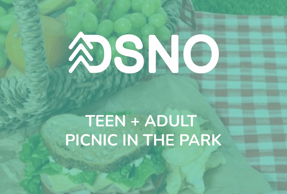 Teen + Adult Picnic @ Cook Park