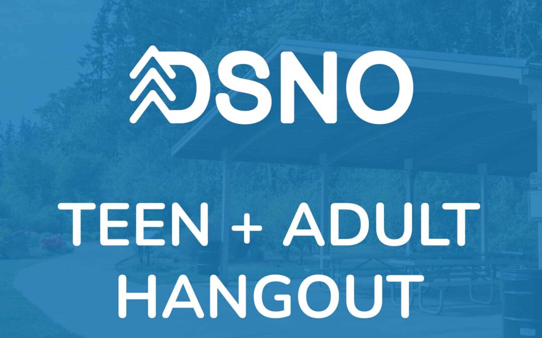 Teen + Adult Hangout @ Cook Park